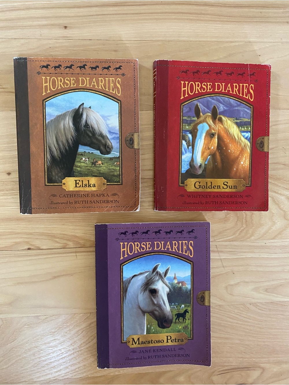 Horse Diaries Books Series Lot of 3 Books Used